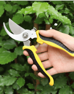 tesoura amarela ao fundo folhas de plantas verdes